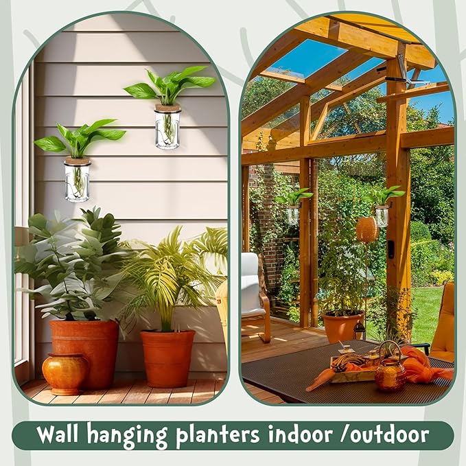 Baderke 6 Set Wall Plant Holder with Plastic Propagation Vases Hanging Planter Wall Mounted Set for Plants Growing in Water Hydroponic Artificial Plants Indoor Decor (2.48" X 3.94",Classic)