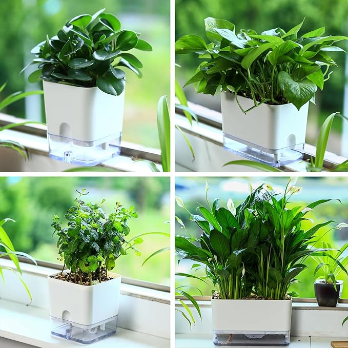 Planterhoma Self Watering Plant Pots for Indoor Plants 7 inch, 8 Packs Rectangular Self-Watering Planters with Drainage Hole, White African Violet Pots for Devil's Ivy, Spider Plant, Orchid, Herb
