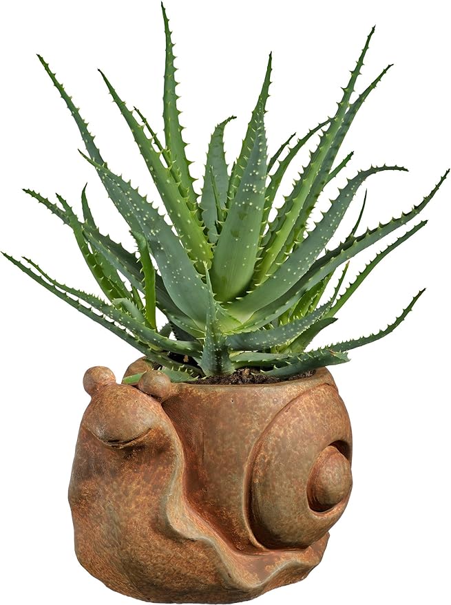 Classic Home and Garden Cement Buddies Animal Planter - Cute Desk Decoration - UV Coated Animal Vase w/Drain Plug - Succulent Plant Pot for Indoor/Outdoor Use (Snail Planter, Rust, Small)