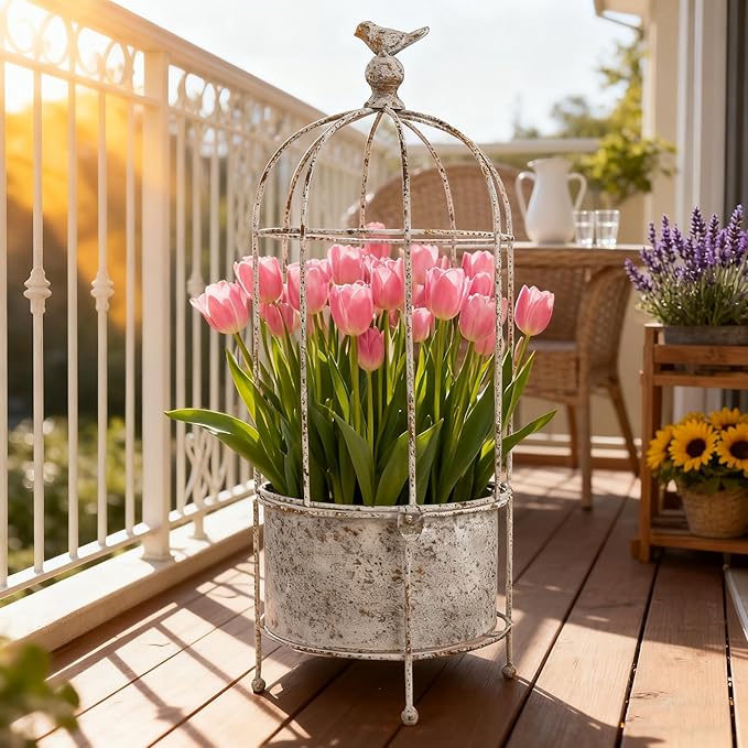 Rustic Iron Birdcage Planter Stand Vintage Metal Planter Holder Distressed Decorative Flower Pot with Latch Lock Closure for Climbing Plants Garden Patio Balcony Outdoor Indoor Decor (styel#2)