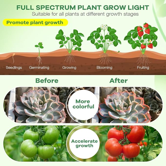 led Grow Lights, 2 Heads Red Blue Plant Light with Clamp for Indoor Plants & Seed Starting, 10-Level Dimmable, Auto On Off, Timing 3 9 12Hrs