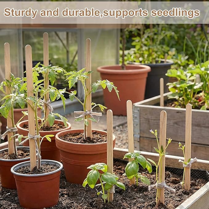 Weysat 200 Pcs 12" Wood Plant Labels for Field or Containers Plant Tags Wood Garden Labels for Seedling Stakes Markers Nursery Seed Tags with Smooth Surface for Pot Herbs Flowers Vegetables (Natural)