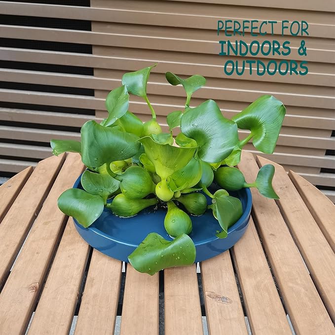 Ceramic Plant Saucer Pot Tray 10 Inch, Blue Planter Saucers 5 7 9 10 12 Inch for Indoors Outdoor, Flower Pot Saucers for Holding Water Drips and Soil