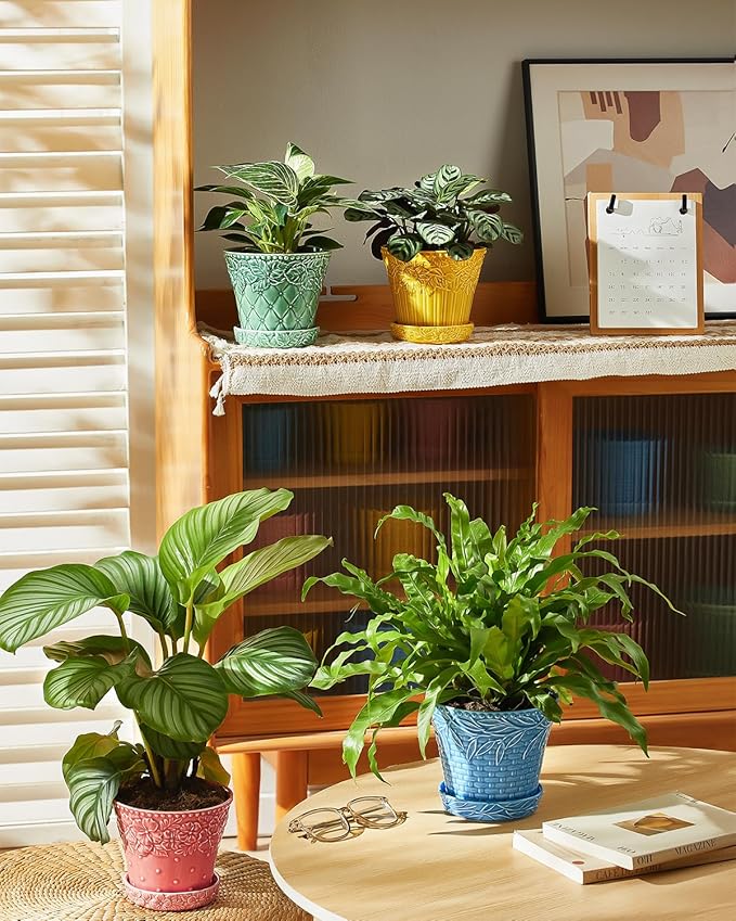 Ceramic Plant Pots, 5.8 Inch Flower Pots for Indoor Plants, Planters with Drainage Hole & Saucer, Garden Planters for Succulent, Orchid, Cactus, Home Decor, Set of 4, Assorted Colors