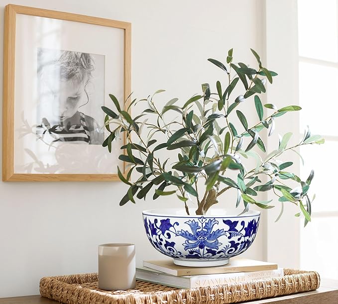 Hollyone Blue and White Vase Porcelain Planters 9 Inch Garden Bowl Modern Ceramic Pots Classic Chinese Floral Vase for Indoor Outdoor Succulents Bonsai Fairy Gardens Herbs