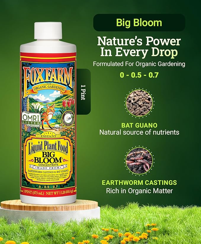 FoxFarm - Big Bloom Plant Food, Liquid Fertilizer Concentrate for Flowers, Fruits, and Vegetables, All Purpose Plant Fertilizer for Indoor & Outdoor Potted Plants, NPK 0-0.5-0.7 (Pint)