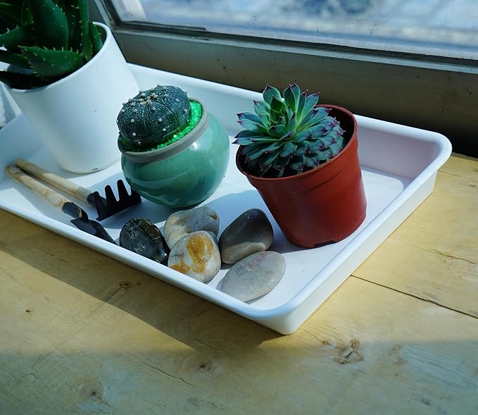 6 Pack Plastic Plant Tray Saucer, Rectangular, Indoors Outdoor, Water Drip Tray for Flower Pot, Windowsill (6.5 x 13 Inch, Cream White)