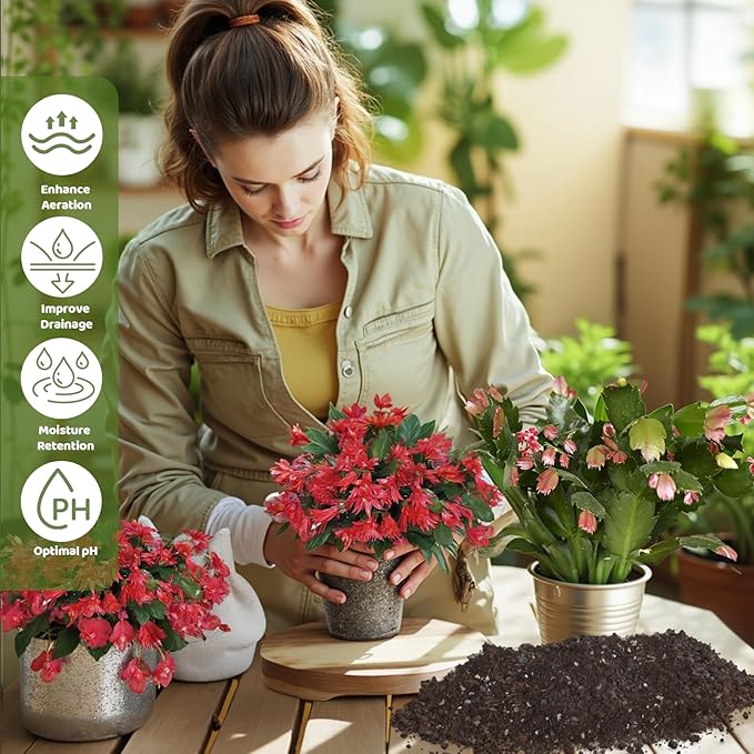 Christmas Cactus Potting Soil Mix 1qt, Ideal for Succulents, Christmas Cacti, and Other Indoor Potted Plantings