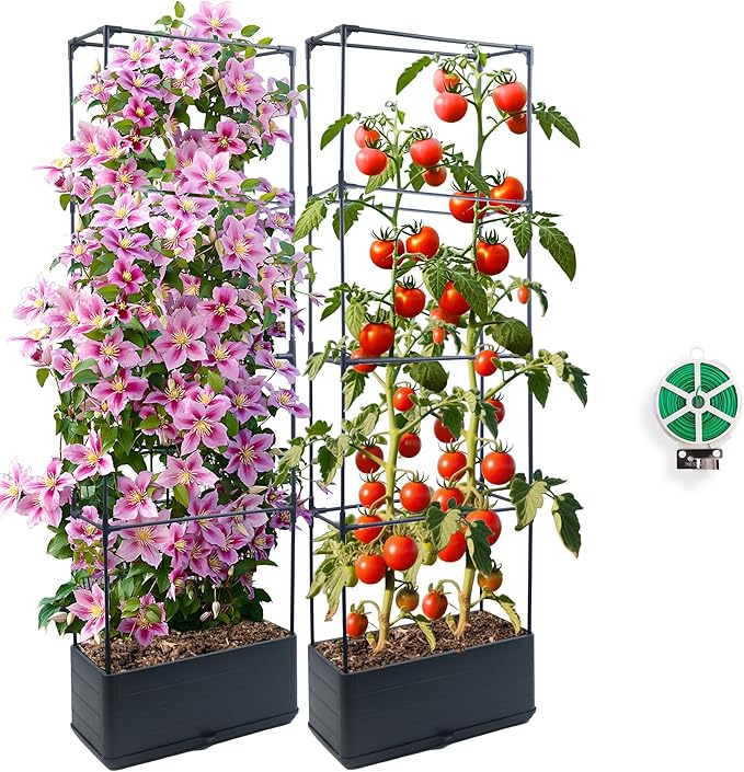 2Pack Raised Garden Bed Planter Boxe with Trellis, 55.2" Self Watering Tomato Planter Box with Trellis for Climbing Vegetable Flowers and Plants, Tomato Cage for Indoor Outdoor Use