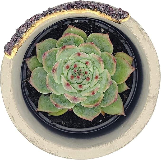 4 Inch Crystal Plant Pot with Saucer - Cement Geode Planter - Concrete Pots for Plants - Modern Succulent Pot Indoor - Unique Air Plant Holder - Candle Holder - Small Plant Home Decor (Red Garnet)