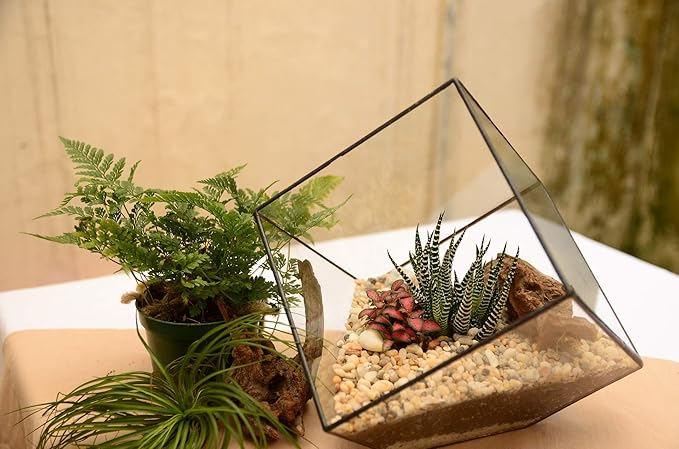 WGV Geometric Planter Terrarium Bulk, Width 11.5" Height 12" Clear Glass Black Frame DIY Succulent air Plant Miniature Fairy Garden Windowsill Tabletop Decor, Tilted Cube 4 Pieces