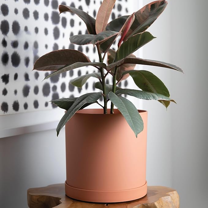 Bloem Mathers 10" Muted Terra Cotta Round Modern Resin Garden Planter Pot with Drainage Holes and Removable Saucer Tray Included