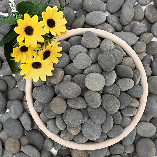 NUPICK 6lb Mexican Beach Pebbles, 1" Black River Rocks for Landscaping, Smooth Garden Rocks for Outdoor Paving, Natural Black Pebbles for Plants, Decorative Stones for Planters, Fish Tank, Fountain