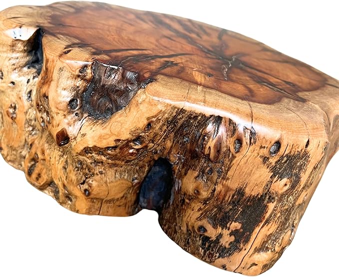 THY COLLECTIBLES Natural Tree Trunk Stump Stool with Live Edge Solid Wood Plant Stand, Stool, Garden Bench, Side Table, End Table (D10 in x H4 in)