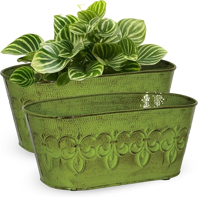 Headwind Ironlite Fleur De Lis Collection – 10" Tansy Green Oval Decorative Planter with Drain Plug – Lightweight Metal Garden Pots for Indoor & Outdoor Planters Use by Robert Allen