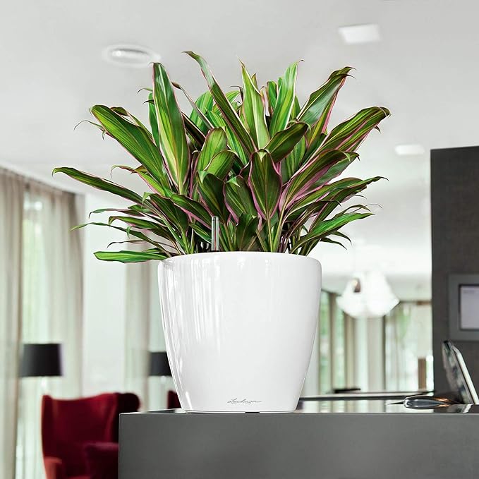 Lechuza Classico LS 28 Shiny Taupe High Gloss, Self-Watering Round Planter, D11 H10.2 in