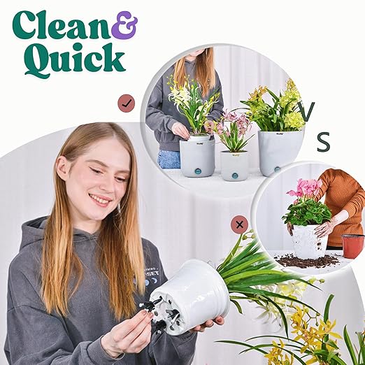 GreenShip 4-Pack Patented Self-Watering Spikes – DIY Plant Watering System for Indoor Plants, Fits Grower Pots, Reuse Containers, Automatic Self-Watering Stakes (Large)