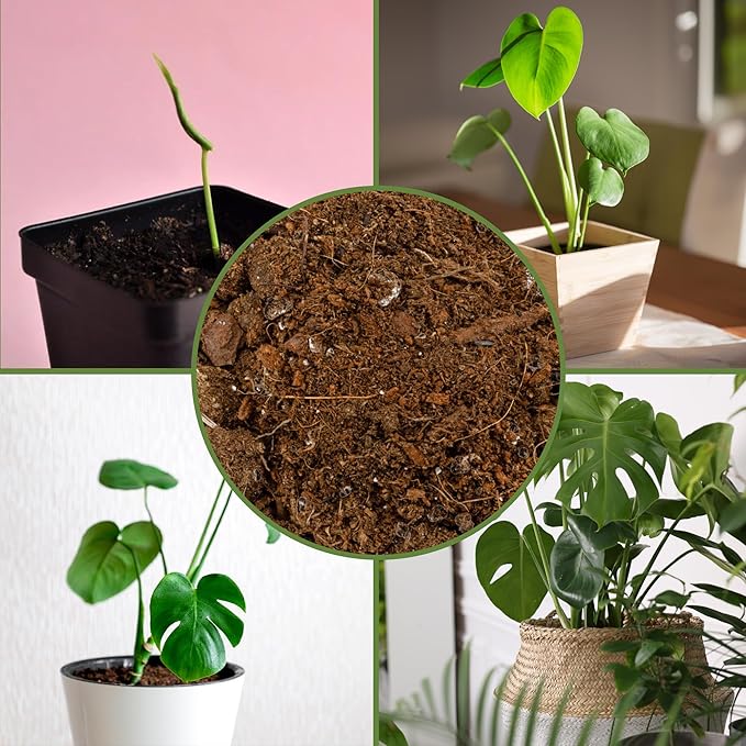 Soil Sunrise Monstera Houseplant Potting Soil Mix (8 Quarts) Custom Blend for Growing and Repotting