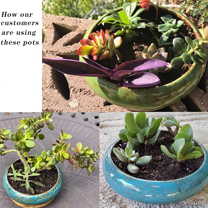 ARTKETTY Succulent Pots, Large Succulent Planter with Stand, 7.3/10 Inch Bonsai Planters with Drainage Trays Ceramic Pot for Indoor Cactus Flower Plants Set of 2