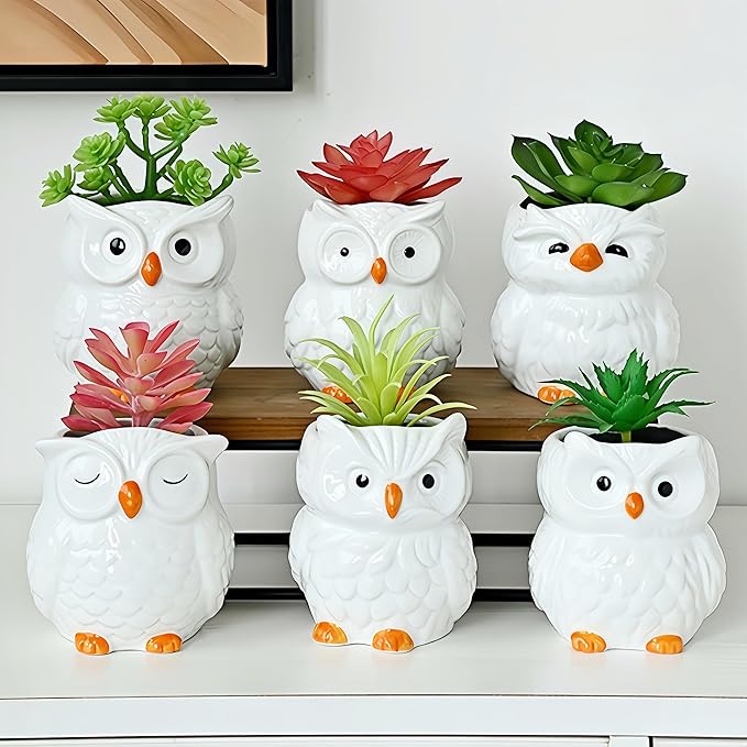 Cute Owl Ceramic Succulent Garden Pots, Planter with Drainage and Attached Saucer, Set of 6, Desk & Home Décor -Plants Not Included