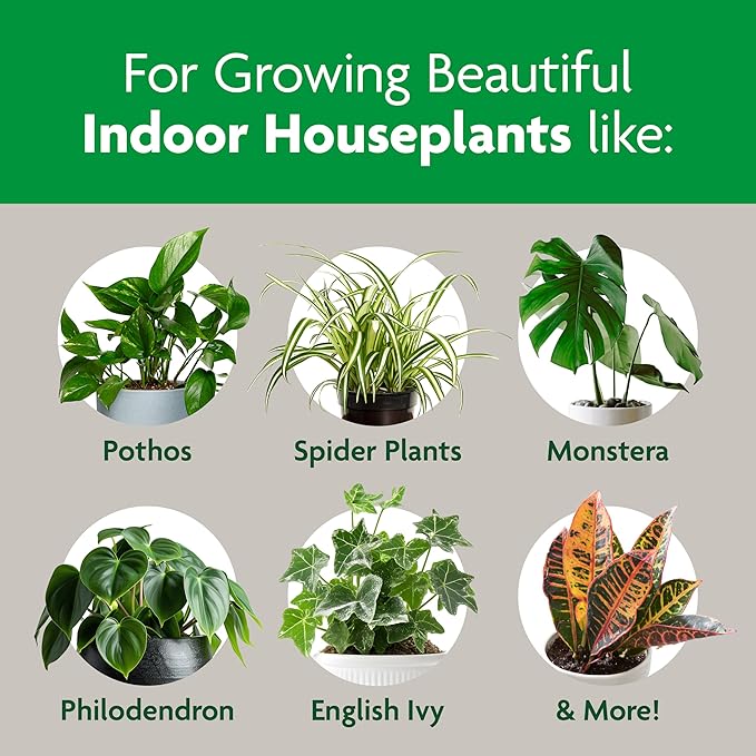 Miracle-Gro Indoor Potting Mix, Blended for a Variety of Houseplants, Feeds for up to 6 Months, 6 qt., 2-Pack