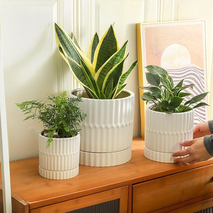HASENSE Ceramic Plant Pots, 3-Pack (8/6/4.6 inch) Indoor Flower Planters with Vertical Ribbed Design, Drainage Holes & Saucers, Medium Cylinder Pots for Outdoor Plants, Modern White