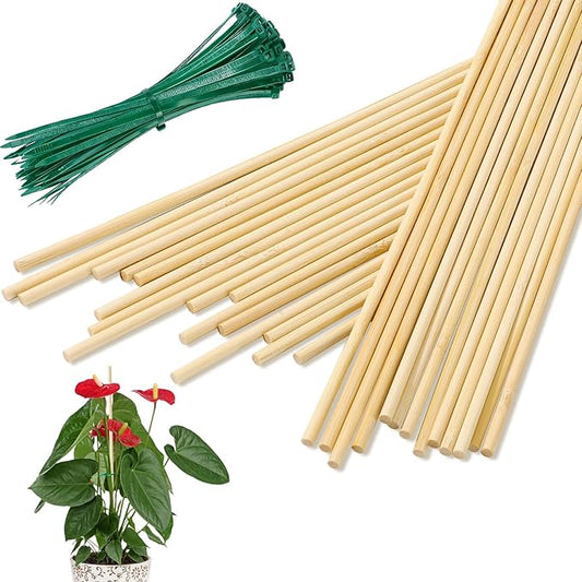 AUGSHY Plant Stakes 18 Inch, 40 PCS Natural Bamboo Garden Stakes which Green Ties Plants Support Stakes for Indoor Outdoor Plants Tomato Vegetable Beans Potted Climbing Plants