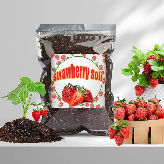 Organic Strawberry Soil Mix 1qt, Indoor Plants Potting Mix for All Potted Strawberry, Grow Healthy houseplants Indoors
