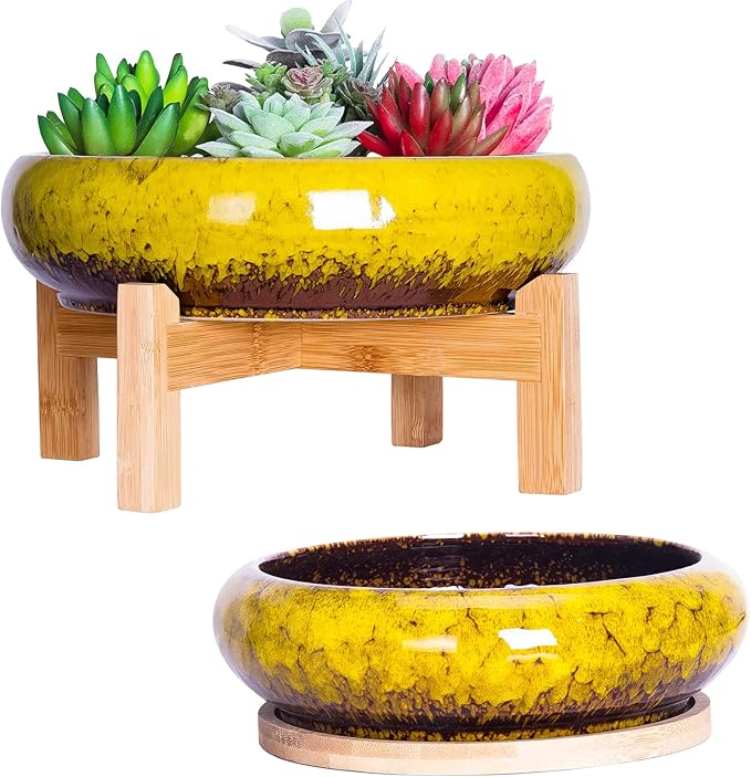 ARTKETTY Succulent Pots, Large Succulent Planter with Stand, 7.3/10 Inch Bonsai Planters with Drainage Trays Ceramic Pot for Indoor Cactus Flower Plants Set of 2