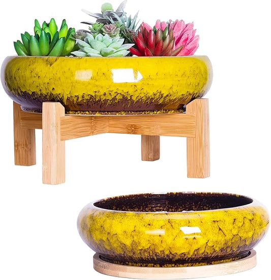 ARTKETTY Succulent Pots, Large Succulent Planter with Stand, 7.3/10 Inch Bonsai Planters with Drainage Trays Ceramic Pot for Indoor Cactus Flower Plants Set of 2