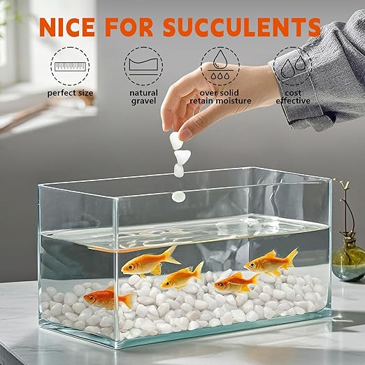 5 lb Natural Polished White Pebbles, 1/2 Inch Decorative White Rocks for Potted Plants Pot Filling Aquariums Outdoor Street Scape Decorative Rocks
