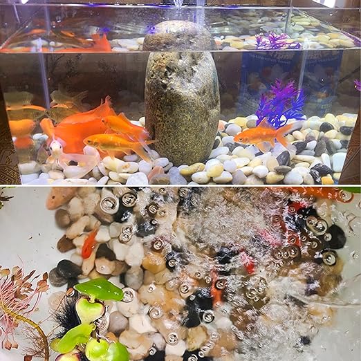 River Rocks for Plants 11.25 LB Small Decorative Pebbles 1"-1.5" Polished Stones Smooth Aquarium Gravel for Fish Tank Vases Indoor Planters Outdoor Landscaping Garden (180oz)