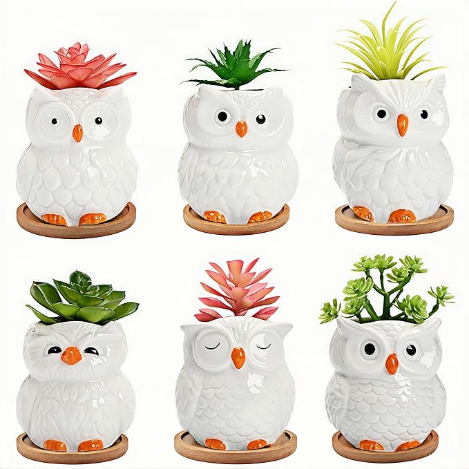 Cute Owl Ceramic Succulent Garden Pots, Planter with Drainage and Attached Saucer, Set of 6, Desk & Home Décor -Plants Not Included