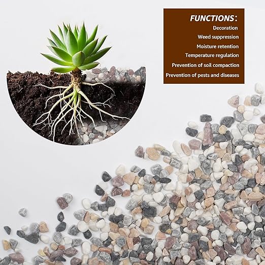 Natural Mixed Color Pea Gravel Pebbles, 2lbs (1/5 Inch) Decorative Stones for Succulents, Indoor Plants, Vases, Aquariums, Top Dressing, and Outdoor Landscaping