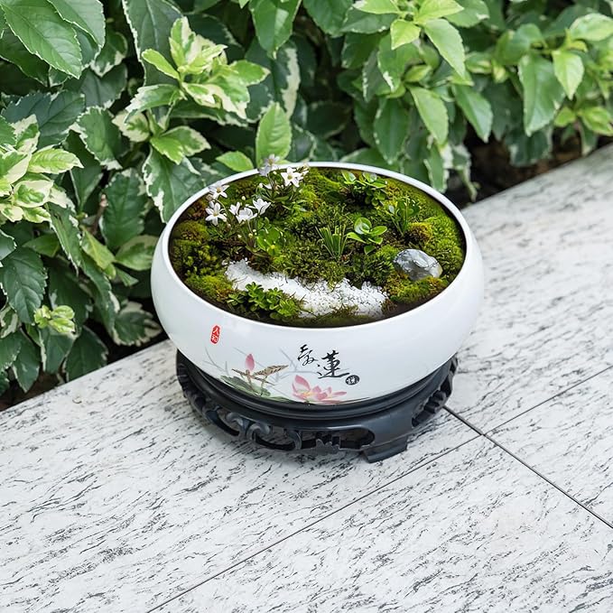 Lotus Bowl Planter - Ceramic Pots for Plants with Stand for Hydroponic Water Lilies & Bonsai Trees, Bonsai Pots Indoor/Outdoor Décor - Zen Garden & Home Art Display (White, Medium)