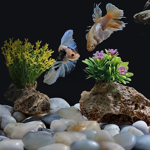 5lbs White Pebbles for Indoor Plants, 1-2Inch Natural River Rocks for Aquarium, High Polished Decorative Stones for Vase Filler Fish Tank Landscaping Garden