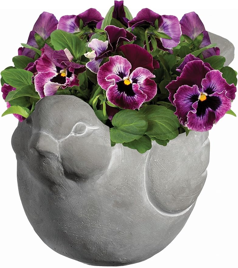 Classic Home and Garden Cement Buddies Animal Planter - Cute Desk Decoration - UV Coated Animal Vase w/Removable Drain Plug - Succulent Planter for Indoor/Outdoor Use (Bird Planter, Natural, Small)