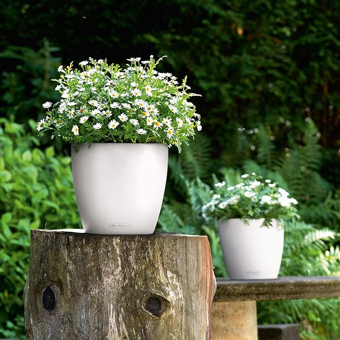 Lechuza 13210 Classico 35 Self-Watering Planter for Indoor and Outdoor Use, 14" x 14" x 13", White Matte