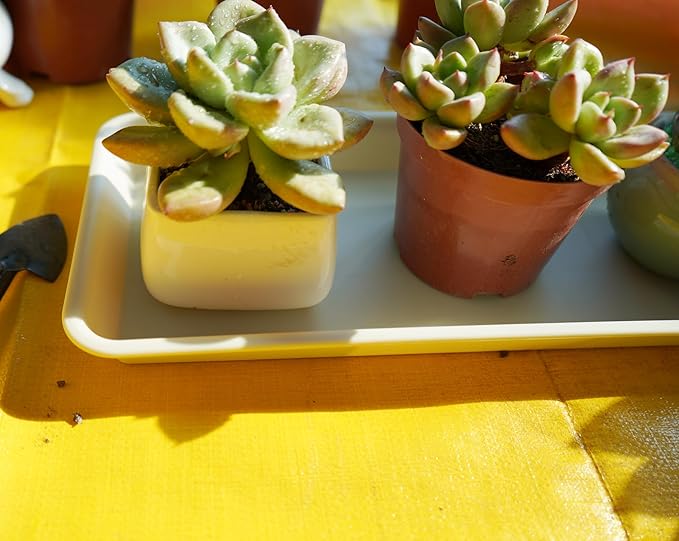 4 Pack of Plastic Plant Tray Saucer Rectangular 16 inch, Plant Trays Saucers for Indoors Outdoor, Plant Water Drip Tray for Flower Pot Planter, Windowsill Plant Tray (7.0 X 16.1'', Beige)
