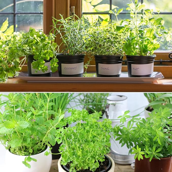 Organic Potting Soil Mix 10qt for All Indoor & Outdoor Small Containers Including Herbs, Vegetables, and Flowers