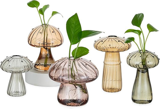 Hewory Glass Mushroom Propagation Stations: Set of 5 Unique Propagation Jars Glass Planter for Indoor Plants Home Decor - Amber Mushroom Vase Christmas Birthday Gifts for Plant Lovers Women Girls