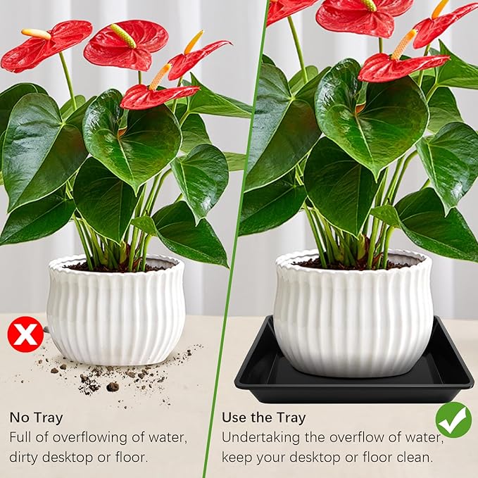 6 Pack Square Plant Saucer 8 Inch, Durable Thick Plant Pot Dish for Flower Pot, Black Plastic Plant Tray to Catch Water for Indoor Outdoor