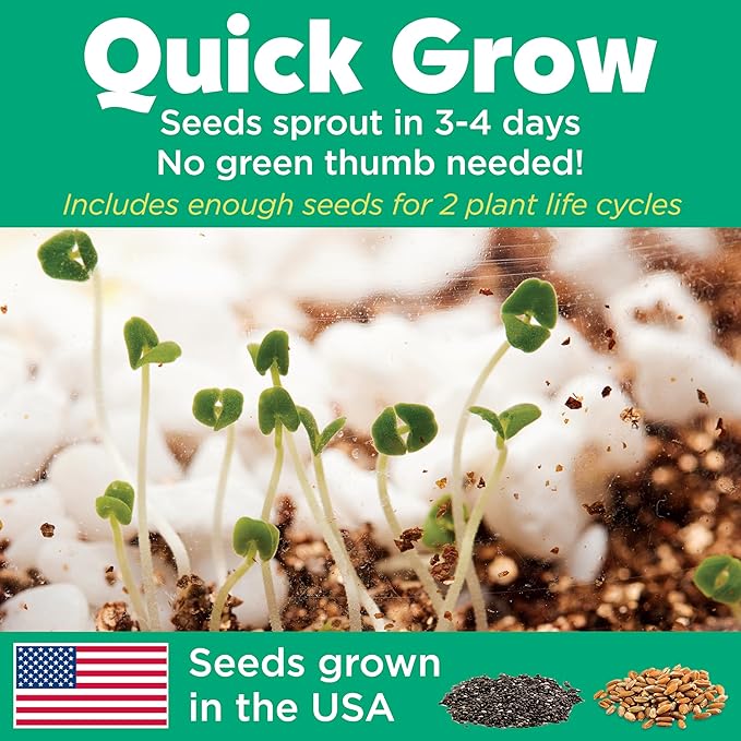 Creativity for Kids Grow 'N Glow Terrarium Kit - Educational Science Kits| Easter Basket Stuffers for Kids Gifts for Boys and Girls| Craft and STEM Projects (Ages 6+)
