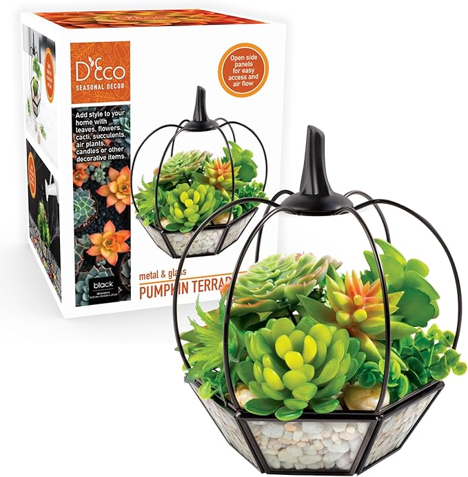 Thanksgiving Table Centerpiece - Pumpkin Glass Terrarium (7x7x8)- Rustic Fall Tabletop Decor - Artificial Pumpkin for Home, Kitchen, Office Decorations- Autumn Plant Garden Display- Black Trim Planter