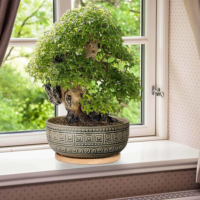 G EPGardening 8 Inch Ceramic Succulent Planter Pots Round Shallow Bonsai Planter Pot for Indoor Plants with Drainage and Bamboo Saucer Gray
