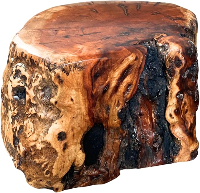 THY COLLECTIBLES Natural Tree Trunk Stump Stool with Live Edge Solid Wood Plant Stand, Stool, Garden Bench, Side Table, End Table (D11in x H6in)