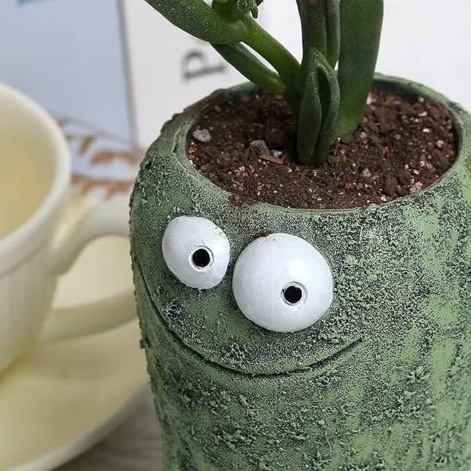 Big and Small Eye Frog Planter - Fun Succulent Planter for Indoor and Outdoor Tabletop Decorations, Wacky Frogs, Christmas/Birthday Fun Gift. (Frog A)