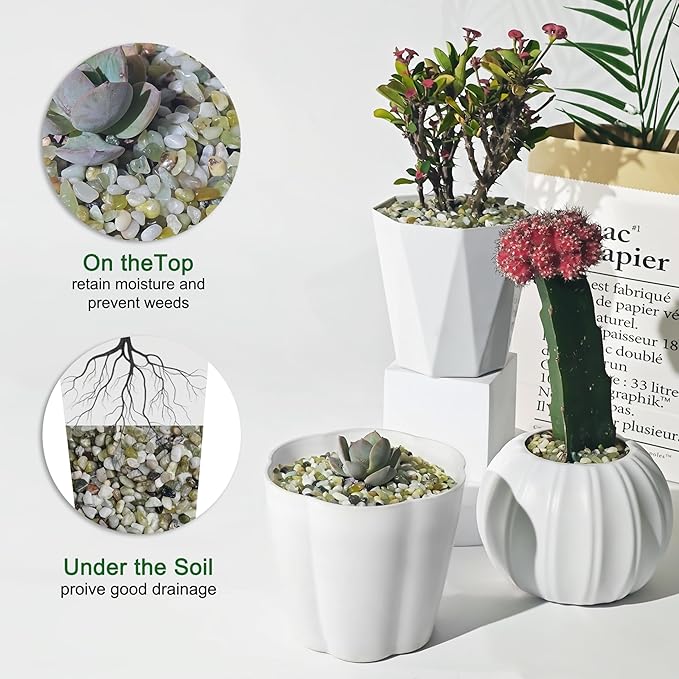 Jade Rocks for Plants Indoor, 1/5 inch Small Pebbles for Indoor Plants, Decorative Rocks for Succulents Cactus Bamboo Vases Landscaping Drainage and Outdoor Garden 1 LB