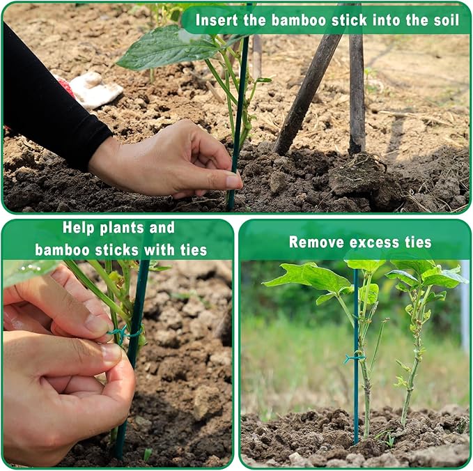 Plant Stakes 50 PCS Garden Green Bamboo Sticks Plant Support Stakes for Indoor and Outdoor Plants, Wooden Sign Posting Flower Pot Garden Stakes(15" 25pcs+17" 25pcs)