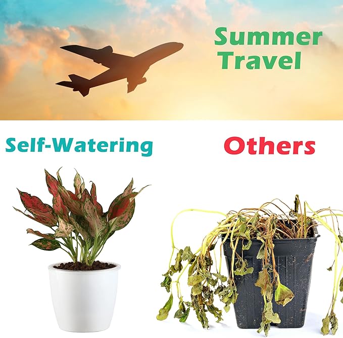6 Pack 6.7" Self-Watering Planters Flower Pots for Indoor Garden Devil's Ivy, African Violet, Ocean Spider Plant, Orchid, White Color